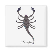 Starlight Scorpio Magnets