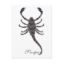 Starlight Scorpio Postcards
