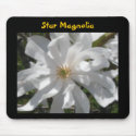starmagbolia, Star Magnolia mousepads