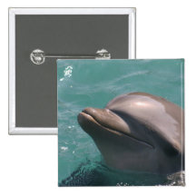 Starring a Dolphin Button