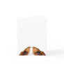 Starring Holmes, that loveable Basset Hound