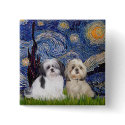 Starry Night - 2 Shih Tzus (A+Y) buttons