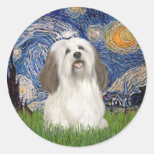 Starry Night - Havanese (#1) Round Stickers