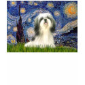 Starry Night - Shih Tzu #3 t-shirts