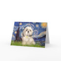 Starry Night - Shih Tzu (Y) cards