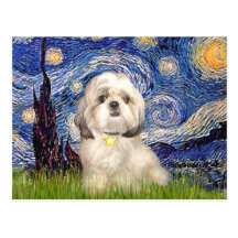 Starry Night - Shih Tzu (Y) Post Cards