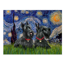 Starry Night - Two Scottish Terriers Post Card