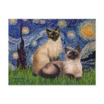 Starry Night - Two Siamese cats (Choc Pt) postcards