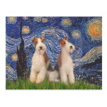 Starry Night - Two Wire Fox Terriers Post Card