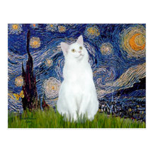 Starry Night - White cat Post Cards