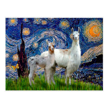 Starry Night with Two Llamas Post Card