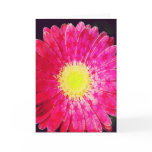 Starry Pink Gerbera Daisy Blank Greeting Card