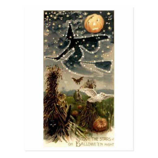 Starry Witch on Broomstick Post Card