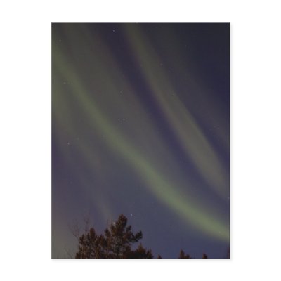 Stars and Stripes Post Card