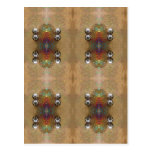 Stars Of David Postcards