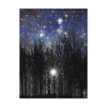 Starscape & Trees - Postcard