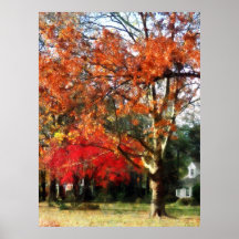 STARTING UNDER $20 - Autumn Sycamore Tree Poster