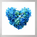 STARTING UNDER $20 - Blue Hydrangea Heart Posters