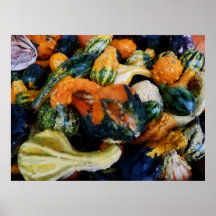 STARTING UNDER $20 - Fancy Gourds Print