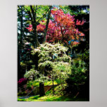 STARTING UNDER $20 - Spring Trees Poster