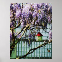 STARTING UNDER $20 - Wisteria and Birdhouse