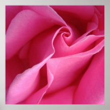 Starts at $12.80 Diagonal of Pink Rose Wall Decor Poster
