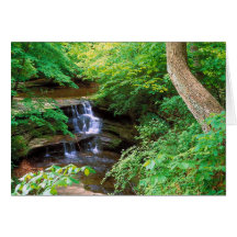 Starved Rock Park, Illinois Card