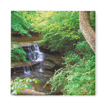 Starved Rock Park, Illinois Fridge Magnet
