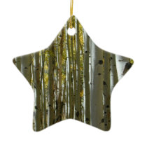 Starwood ornament