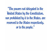 States' Rights, It's a 10th Amendment Thing T Shirt