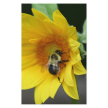 Stationary Custom Stationery