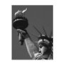 Statue of Liberty Post Cards