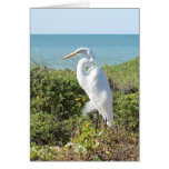Statuesque Heron Greeting Cards