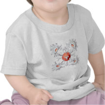 Staurastrum Tees