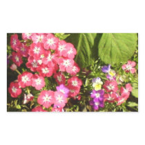 STBX Floral Decoration for Gift, Greetings, Craft