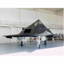 Stealth Fighter F117a Cut Outs