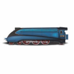 Steam Engine photo sculptures