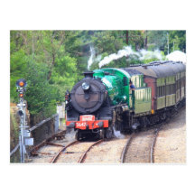 Steam Train at Picton Post Card