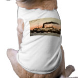 Steamer City of Alpena pet clothing