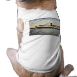 Steamer "Princess Helene" St. John- Digby Service pet clothing