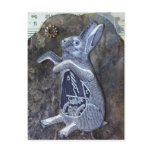 Steampunk Clockwork Bunny postcards