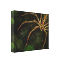Steampunk - Insect - Arachnia Automata Gallery Wrap Canvas
