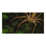 Steampunk - Insect - Arachnia Automata photo cards