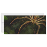 Steampunk - Insect - Arachnia Automata rack cards
