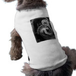Steampunk Steam Pump Mechanic pet clothing