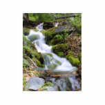 Steams Brooks Water Moss Leaves Forests photo sculptures