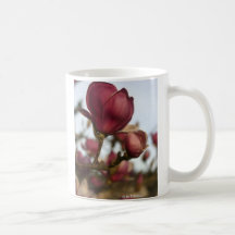 Steel Magnolia Coffee Mugs