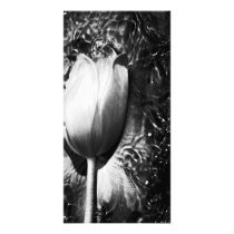 Steel Tulip Picture Card