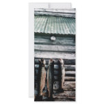 Steelhead Trout or Rainbow Trout Hanging on Side o rack cards