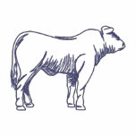 Steer Outline embroidered shirts
